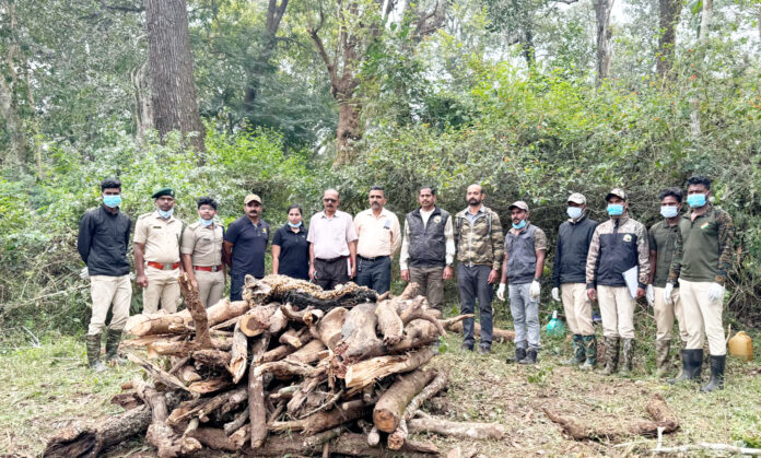 ನಾಗರಹೊಳೆ ಹುಲಿ ಸಂರಕ್ಷಿತ ಪ್ರದೇಶ ವ್ಯಾಪ್ತಿಯ ಕಲ್ಲಹಳ್ಳ ವನ್ಯಜೀವಿ ವಲಯದಲ್ಲಿ ಗಂಡು ಚಿರತೆಯೊಂದು ಹುಲಿಯೊಂದಿಗೆ ಕಾದಾಟಕ್ಕಿಳಿದು ಮೃತಪಟ್ಟಿರುವುದು.